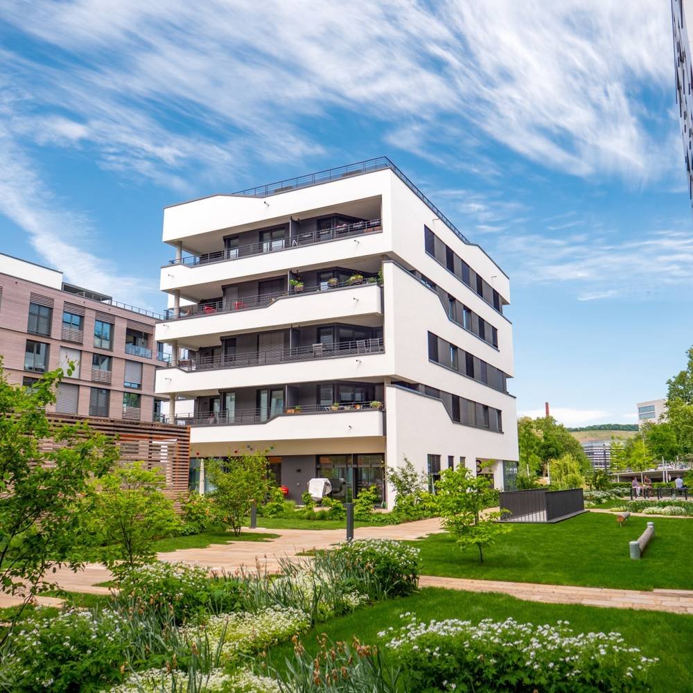 პარკინგი